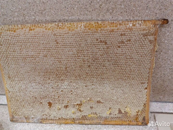 Рамка меда в сотах 2023 башкирия