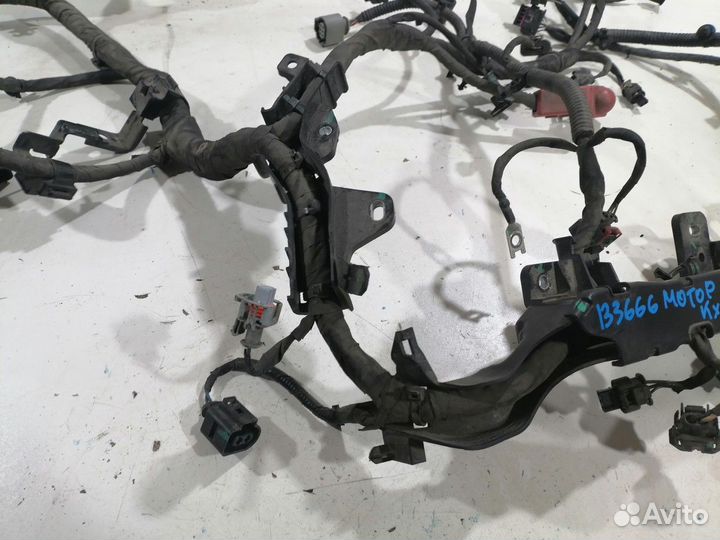 Электропроводка двигателя (Geely Coolray)