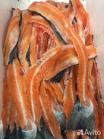 Хребты лосося (семги)