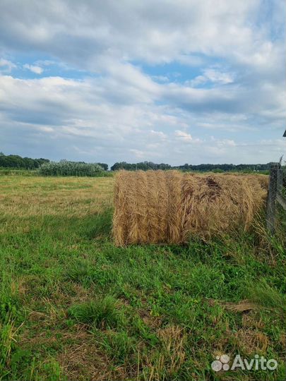 Сено в рулонах 2023