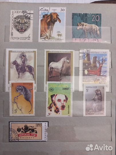 Марки из СССР. Всего 46 шт