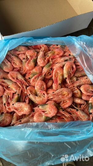 Креветки Гренландия 70/90