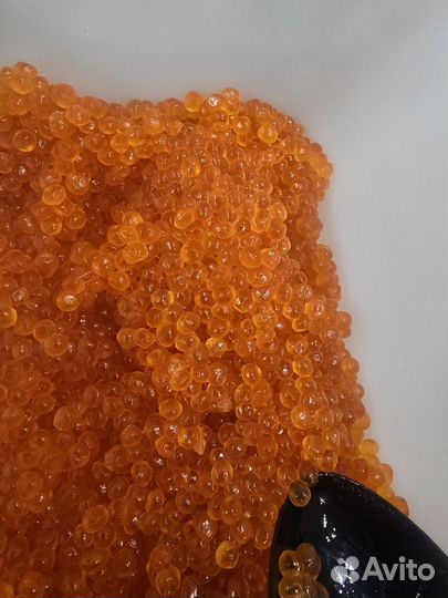 Красная икра кета