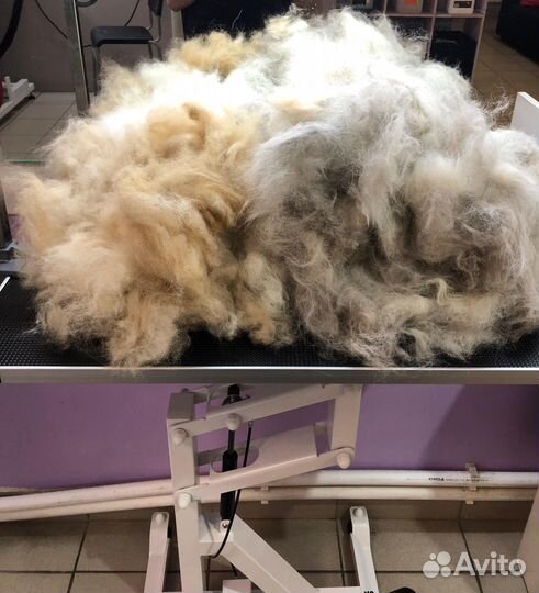 Вычесанная шерсть (шпиц, самоед, корги)