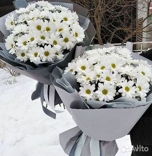 Доставка букетов и цветов. Хризантема