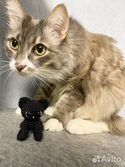 Вязаные игрушки ручной работы котик