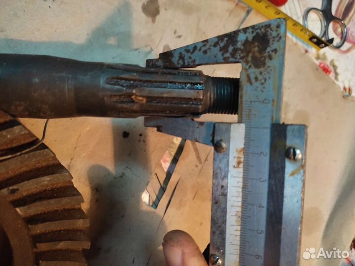 Главная пара москвич