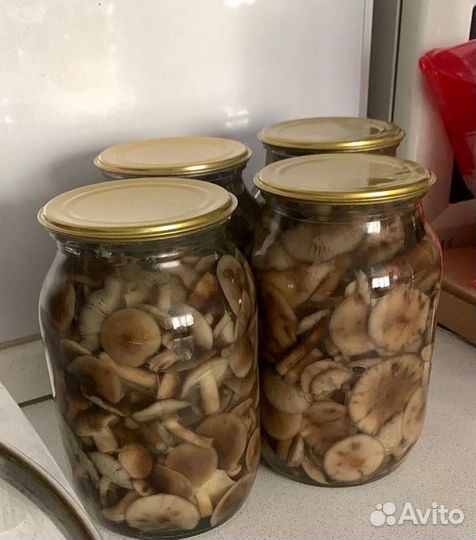 Грибы опята маринованные