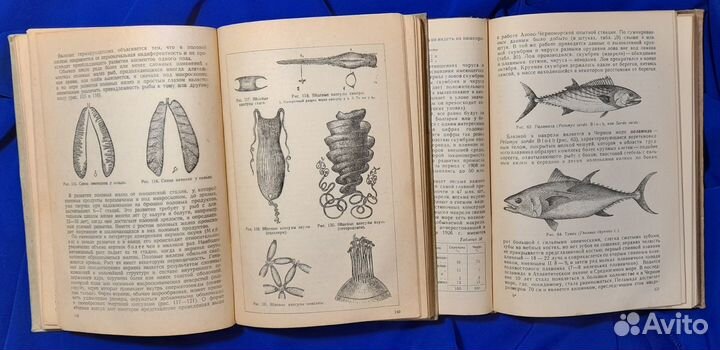 Промысловая ихтиология. В.К. Солдатов. 1934, 1938г