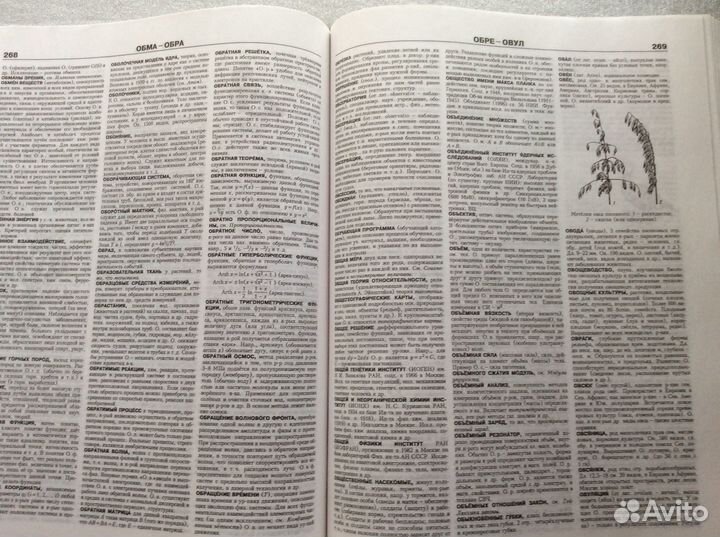 Энциклопедический словарь Естествознание