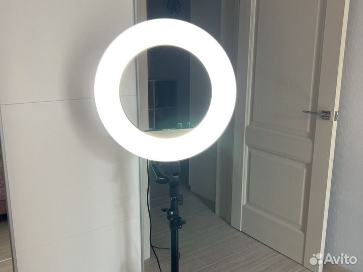 Кольцевая лампа CY-R50L