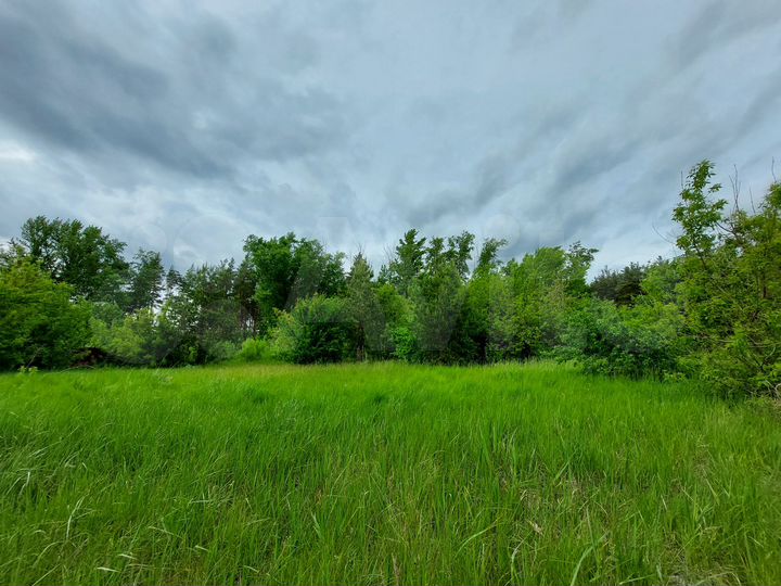 Участок 6,3 сот. (СНТ, ДНП)