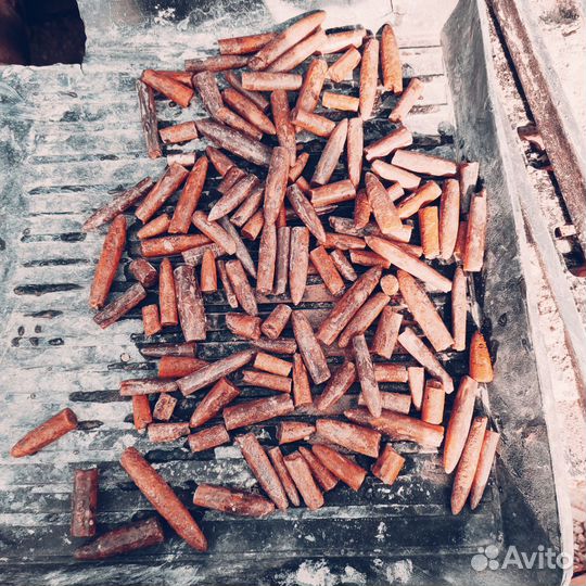 Белемниты чертовы пальцы