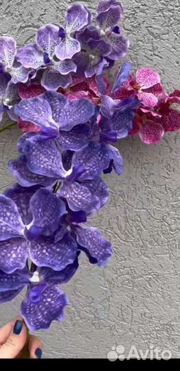 Орхидеи силиконовые ванда