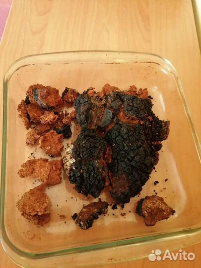 Березовый гриб чага продам