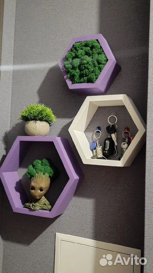 Соты со мхом стабилизированный