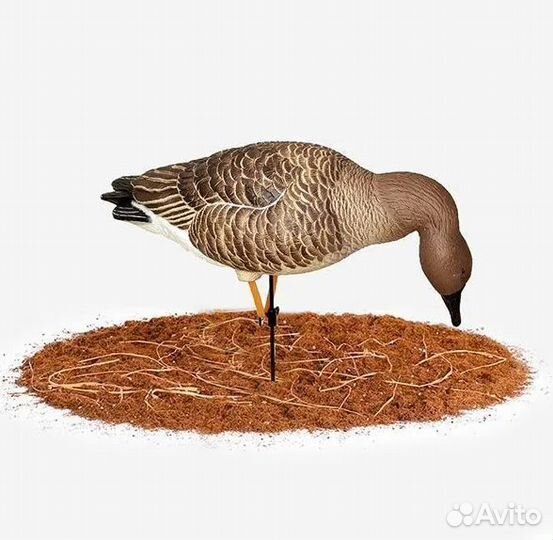 Чучела гусь гуменник 5шт + 1 робот DM-777502