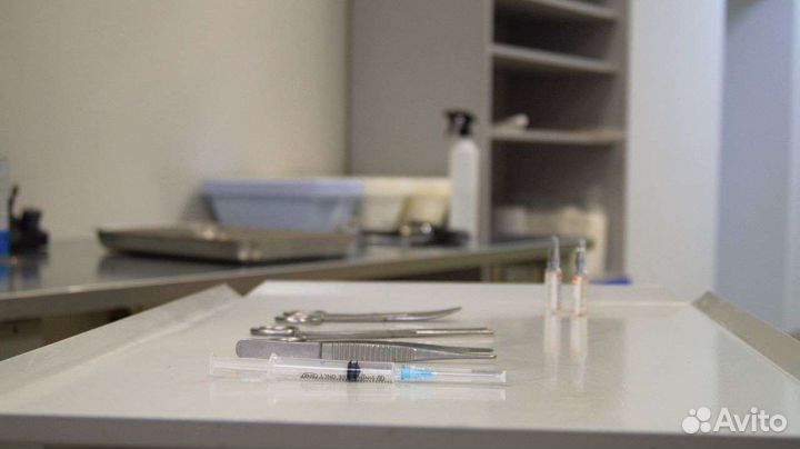 Ветеринарный врач