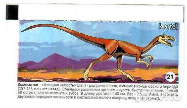 Вкладыши от жвачек ZOOpark Dino (2) k-artel