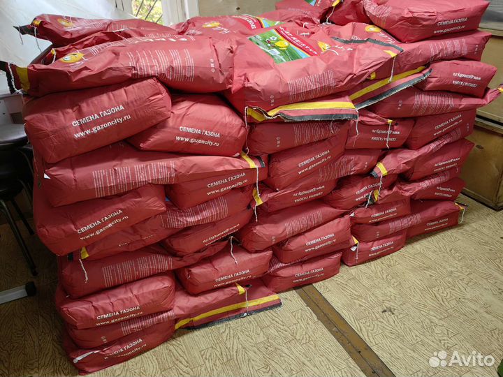 Семена газона спорт