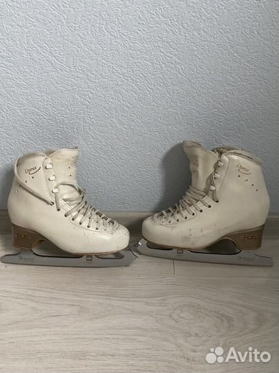 Коньки edea chorus 230