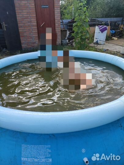 Надувной бассейн