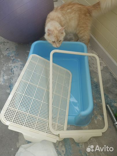 Туалет для крупных котов или небольших собак