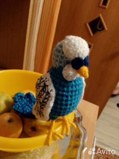 Волнистый попугай