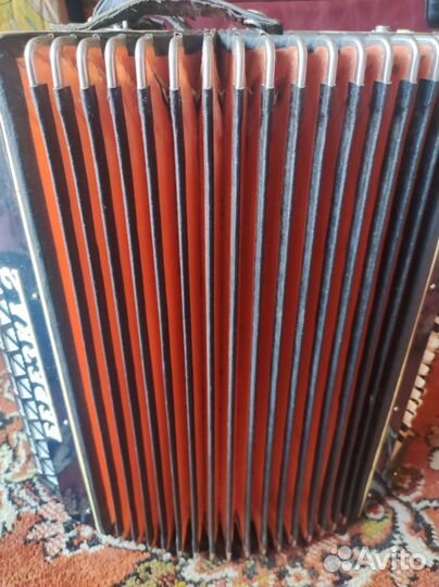 Аккордеон березка 2