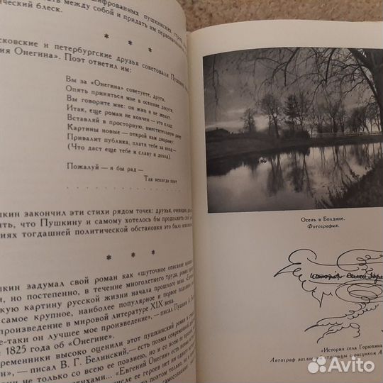 Книги о Пушкине