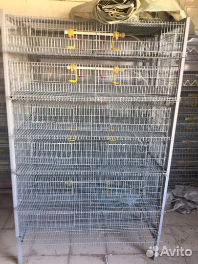 Клетки для перепелов