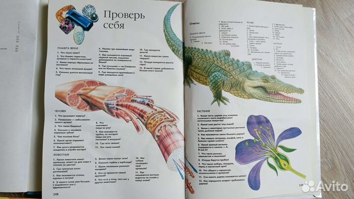 Энциклопедия, атлас