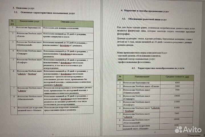 Бизнес план для соцконтракта