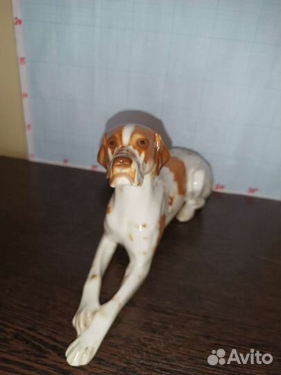 Большой Рыжий Пойнтер Дог. лфз