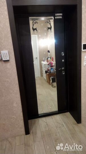 Установка (монтаж) Входных дверей и откосов