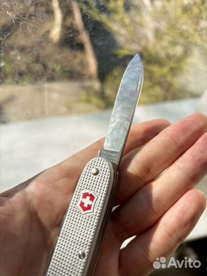 Victorinox pioneer x alox