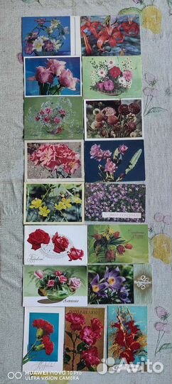 Открытки СССР, Цветы,подписанные.Пятая часть