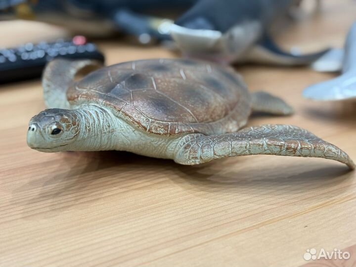 Игрушка черепаха и акулы