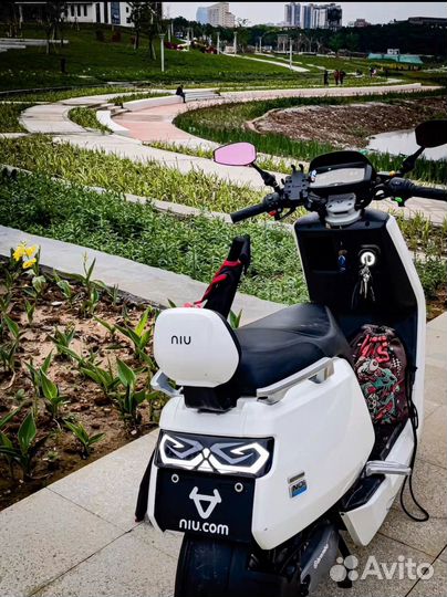 Электроскутер (Электромопед) Xiao NIU N1S