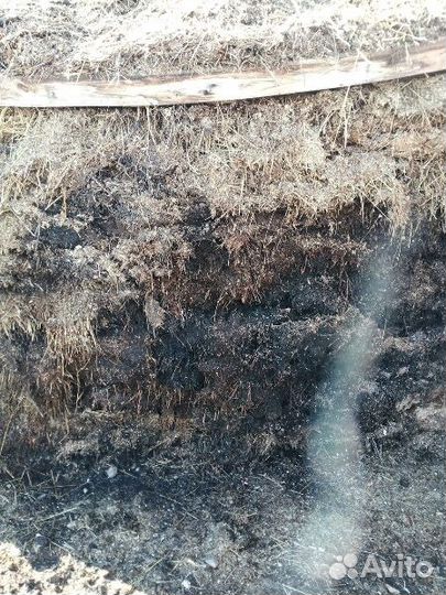 Конский навоз