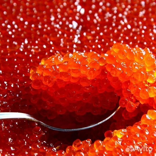 Красная икра горбуши с камчатки