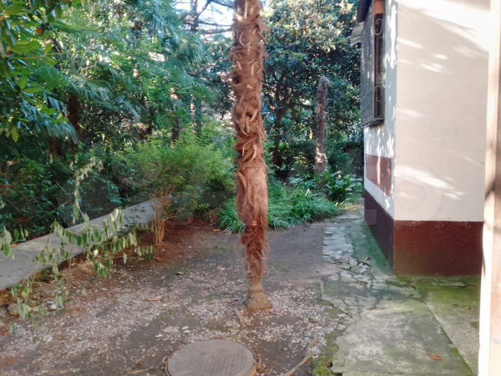 2-к. квартира, 50 м², 1/3 эт.