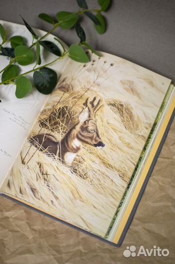 Книга The Silvery Tay: Paintings and Sketches