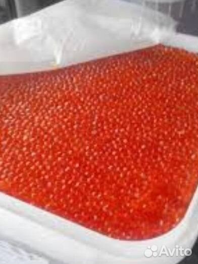 Красная икра опт