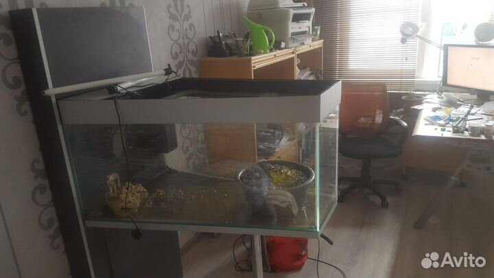 Дизайнерский Аквариум террариум 240 л