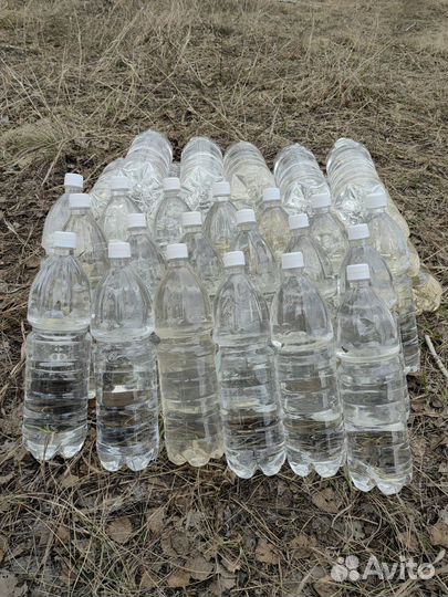 Березовый сок с доставкой от 6 литров