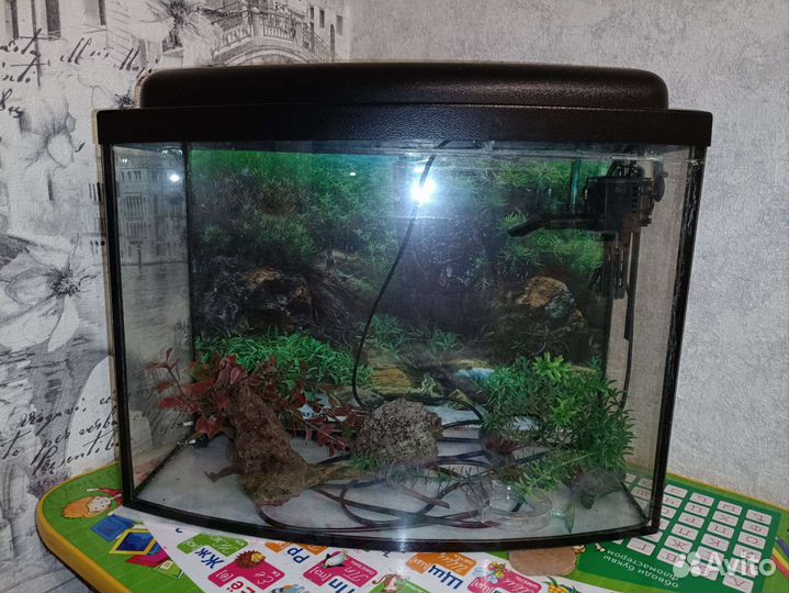 Аквариум 25-30 литров