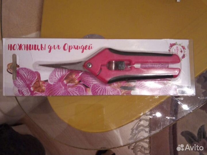 Орхидея фаленопсис