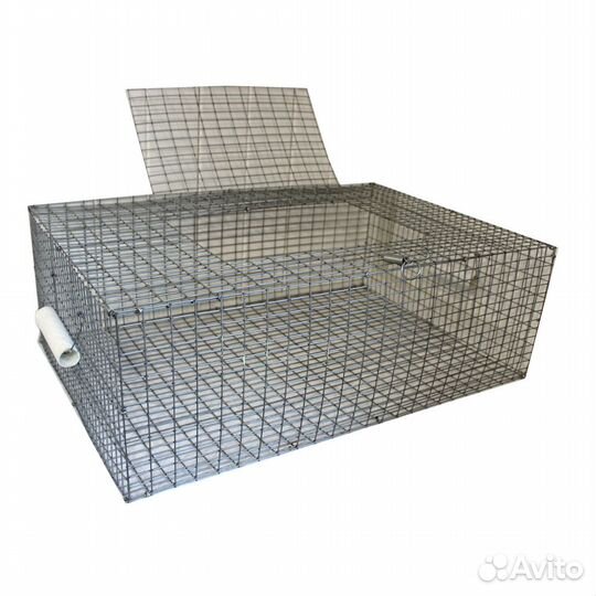 Перевозка перепелов на 20-25 голов