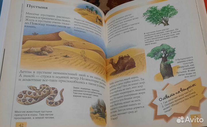 Моя первая энциклопедия